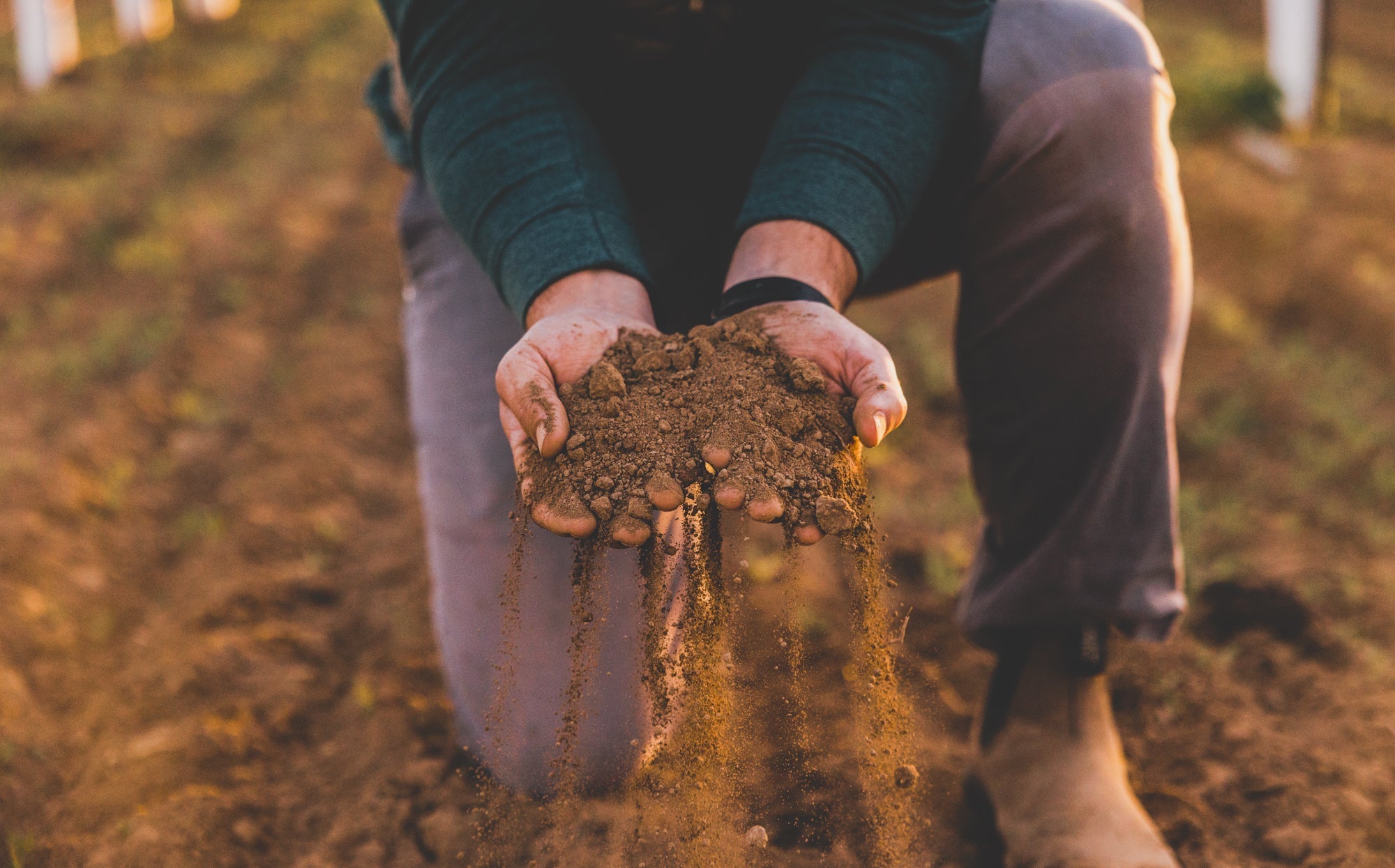 What Is Rutherford Dust?