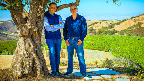 Exploring the Blue Attire Collection of the Treasury Wine Estates & Daou Deal - Casewinelife.com Order Wine Online