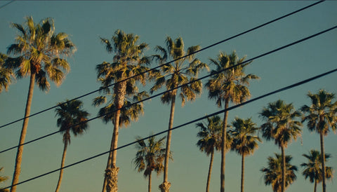 California Favorites