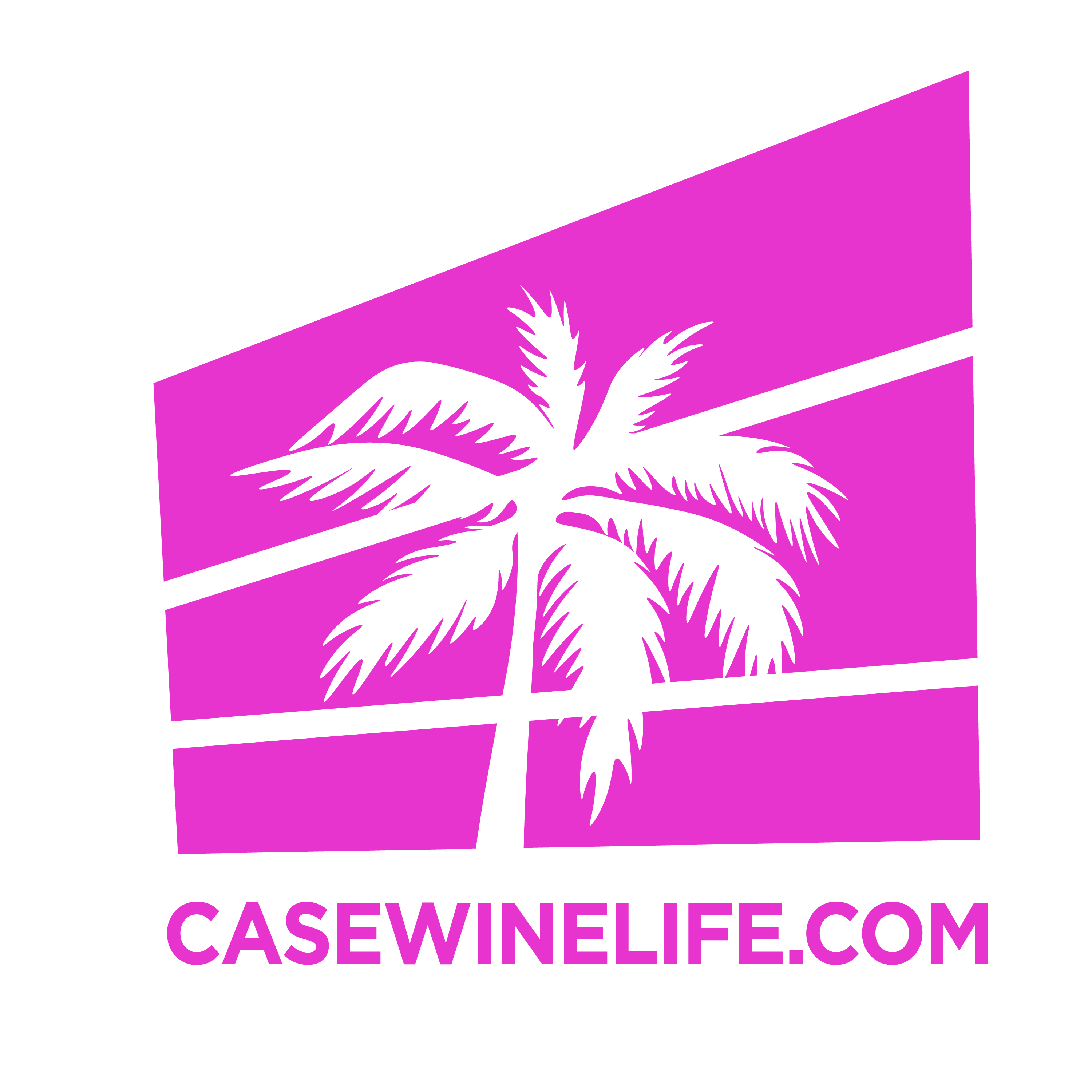 Casewinelife.com Wine Delivered