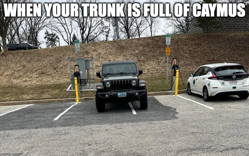 Parking jeep full of caymus wine meme