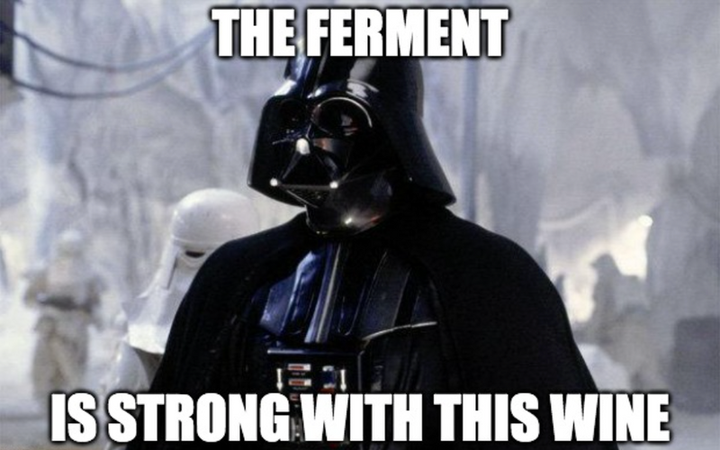 Fermented wine meme with darth vader from star wars