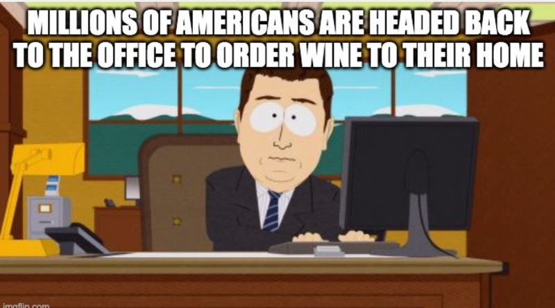 Cartoon character sitting at a desk with text about Americans ordering wine to their home in a wine meme.