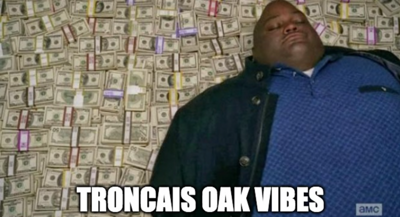 Person lying on a background of dollar bills with 'Troncais Oak Vibes' text for wine meme