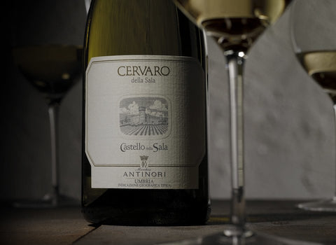Antinori Castello della Sala Cervaro 2014 - Casewinelife.com Wine Delivered