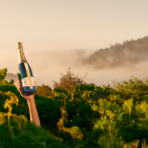 Bright, juicy, and dry finish perfect for everyday celebrations