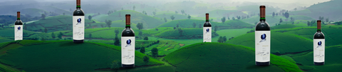 Wine Bargains for Millionaires™ Luxury Wine Without the Luxury Markup. Free home or office delivery on orders of 299+.